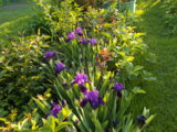DSCN0033.JPG