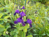 DSCN0035.JPG