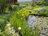 DSCN0062.JPG