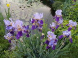DSCN0069.JPG