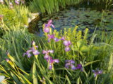 DSCN0079.JPG