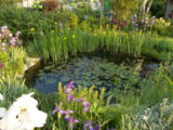 DSCN0081.JPG