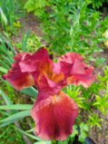 IMG_20250618_184059_1.jpg