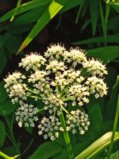 IMG_20250622_201630.jpg