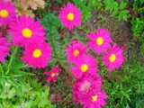 IMG_20250618_184039_1.jpg