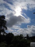 IMG_20250625_155656_1.jpg