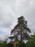 IMG_20250618_183240.jpg