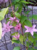 IMG_20250719_220721.jpg