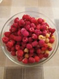 IMG_20250720_173433.jpg