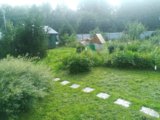 IMG_20250723_172312_MP.jpg