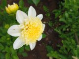 IMG_20250722_173616_1.jpg