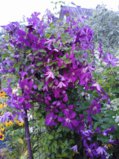 IMG_20250801_211241.jpg