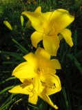 IMG_20250803_174957.jpg
