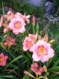 IMG_20250802_211116_1.jpg