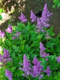 IMG_20250803_175454_1.jpg