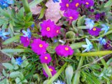 IMG_20260418_160836_1.jpg