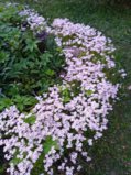 IMG_20260523_213117.jpg