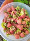 IMG_20260622_182643_1.jpg