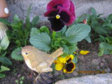 IMG_1906.JPG