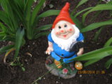 IMG_4639.JPG