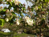 IMG_20150520_180333.jpg